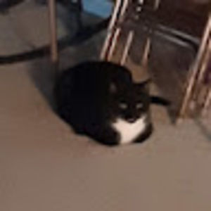 Meet your Posher, Eva